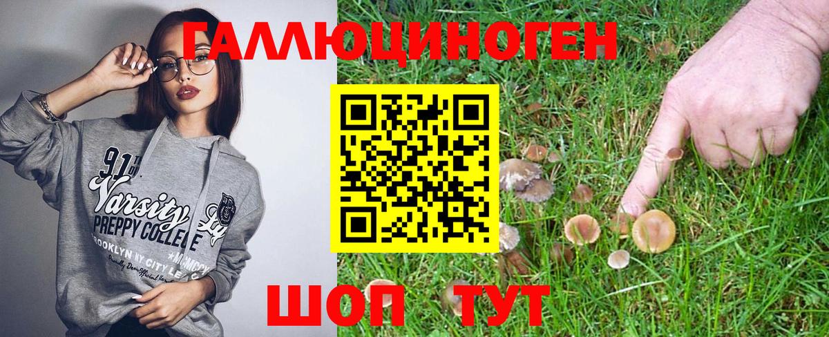 Псилоцибиновые грибы прущие грибы Будённовск